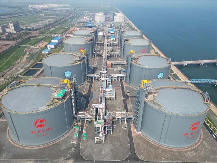 1724308594953045.jpg 4.jpg