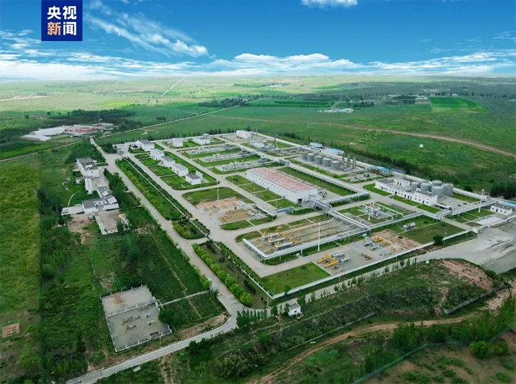 1725324726126865.jpg 3.jpg