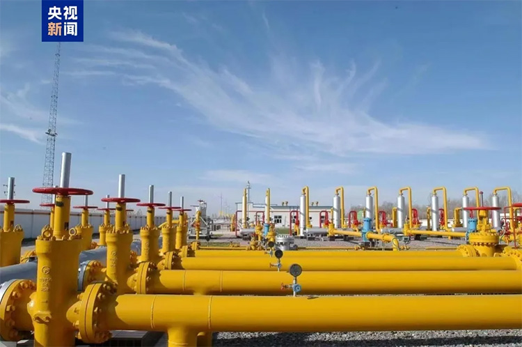 1725324741819211.jpg 4.jpg