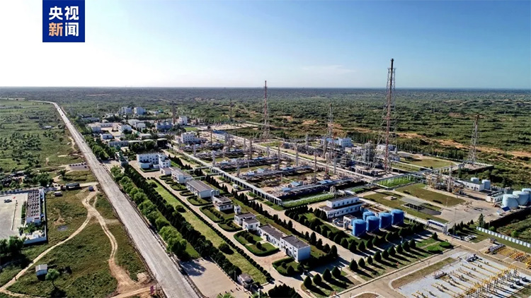 1725324755830015.jpg 5.jpg