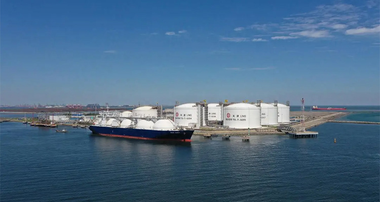 1725929532111808.jpg 400-6.jpg