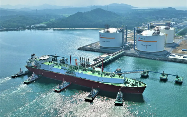 1726301728638286.jpg 23.jpg