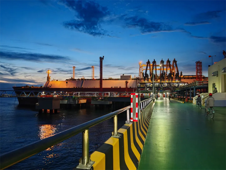 1726301762697029.jpg 25.jpg