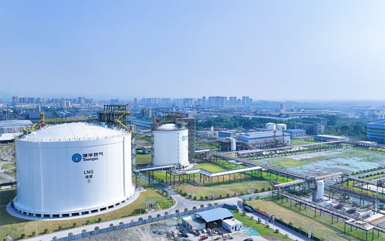 1727661910266617.jpg 2.jpg