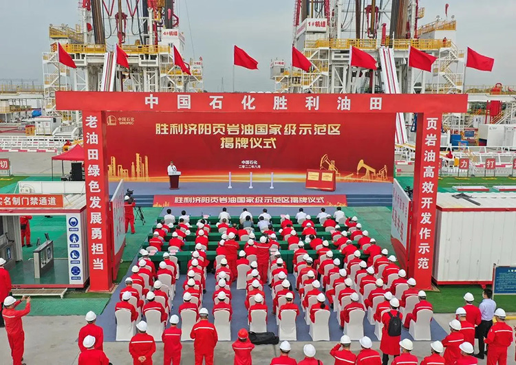 1728716398629285.jpg 20241012_145801_029.jpg