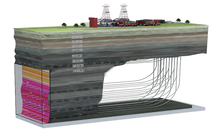 1728716494884795.jpg 20241012_145801_033.jpg