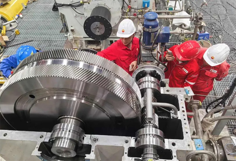 1728976594512571.jpg 23.jpg