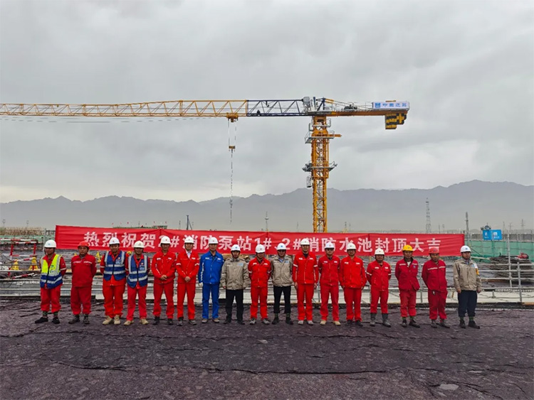 1729240901459267.jpg 18.jpg