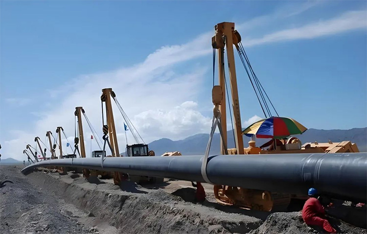 1729755276261328.jpg 22.jpg